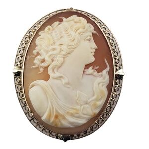 Vintage 10 Karat Yellow Gold Cameo Brooch/Pendant #15988